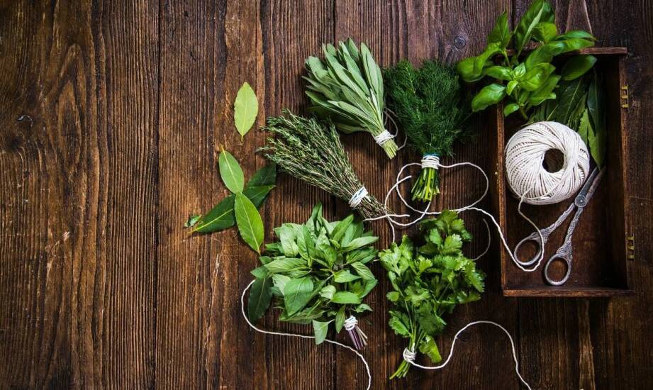 Jakie korzyści zdrowotne niosą ze sobą różne rodzaje świeżych ziół?