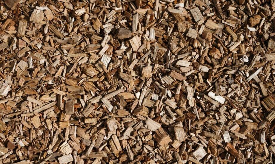 Drewno do wędzenia – jakie są najczęstsze błędy przy wyborze?