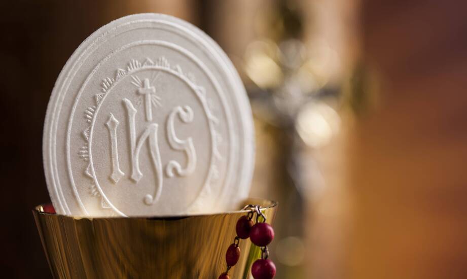 Jakie czynniki decydują o wyborze najlepszych komunikantów na rynku?