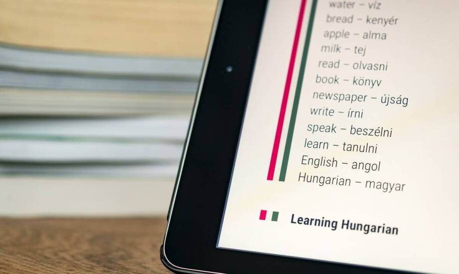 Słownik hiszpańsko-polski jako narzędzie do nauki specjalistycznego słownictwa.