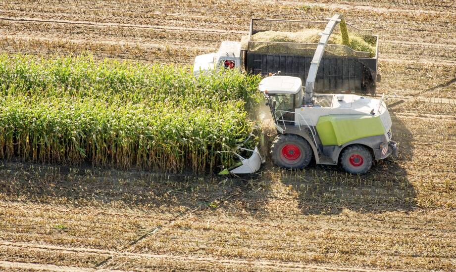 Worauf ist bei der Auswahl von Maispflück Einzugsketten für Maispflücker zu achten?