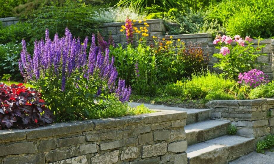 Innowacyjne rozwiązania w zakładaniu przydomowych ogrodów