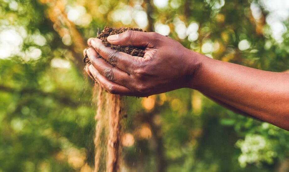 Jakie są najczęstsze błędy przy stosowaniu nawozowego wapna i jak ich uniknąć?