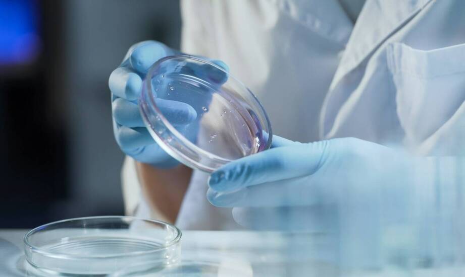 Znaczenie mechanicznej odporności dla efektywności szalek Petriego