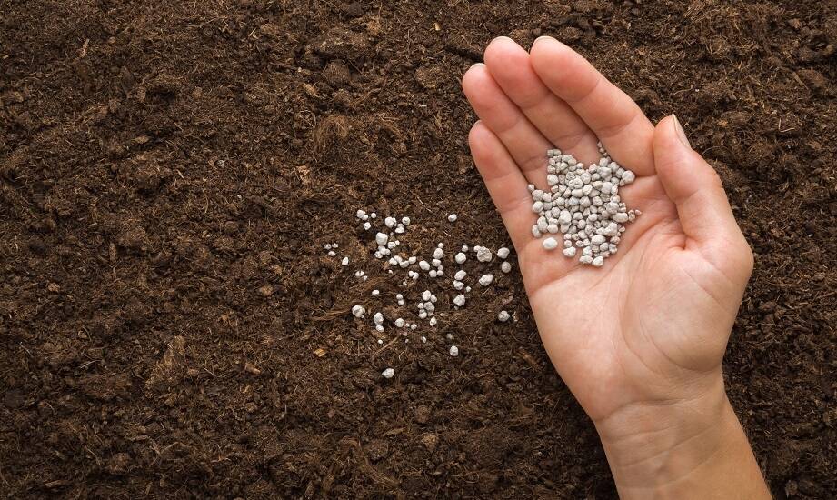 Zastosowanie granulowanego wapna w poprawie struktury gleby