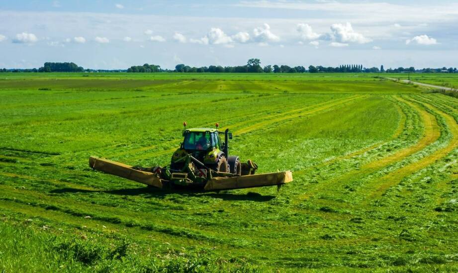 Jakie rolnicze mieszanki traw są najlepsze na gleby piaszczyste?