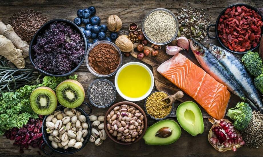 Wpływ diety na zdrowie i fizyczną kondycję zwierząt