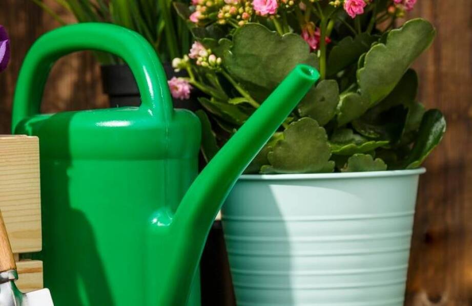 Optymalizacja pracy w ogrodzie dzięki odpowiednim narzędziom