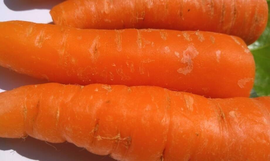 Jak mycie i szczotkowanie wpływa na atrakcyjność marchwi w hurcie?