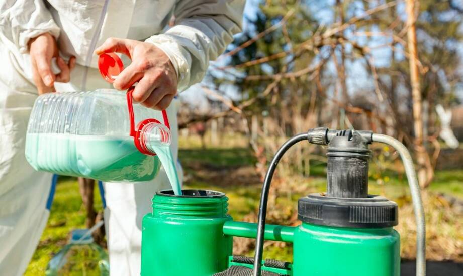 Dlaczego warto zainwestować w usługi DDD dla ochrony publicznego zdrowia?