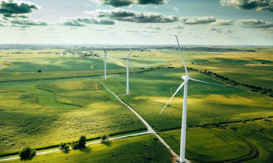 Wpływ przydomowych wiatrowych elektrowni na naturalne środowisko
