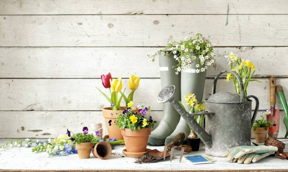 Jak wybrać najlepsze ogrodowe narzędzia do pielęgnacji roślin?