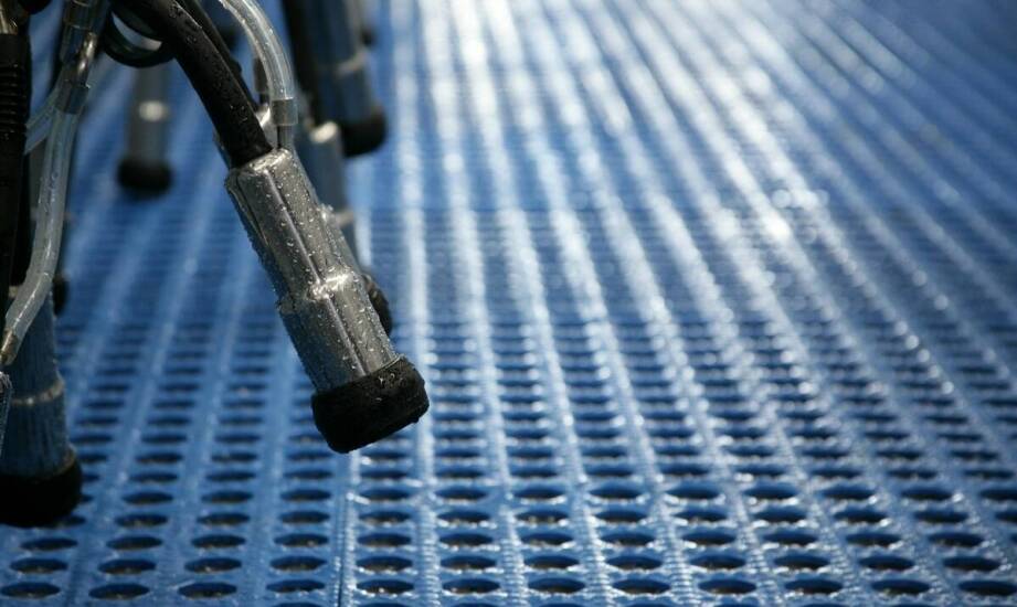 Jak metalowe wycieraczki wpływają na komfort użytkowników w galeriach handlowych?