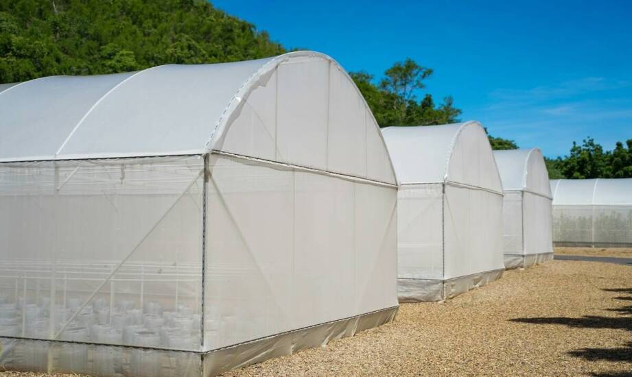 Znaczenie zbrojonej folii na tunel w ochronie upraw przed szkodnikami