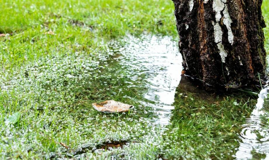 Wie helfen Drainagematten, Oberflächen vor Wassererosion zu schützen?