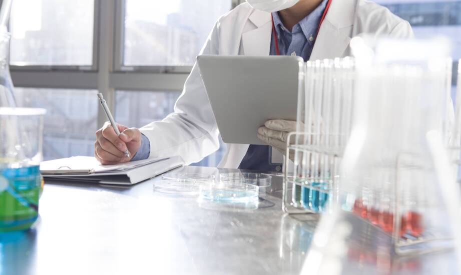 Jak wybrać odpowiednie matryce do tkanek dla Twojego laboratorium?