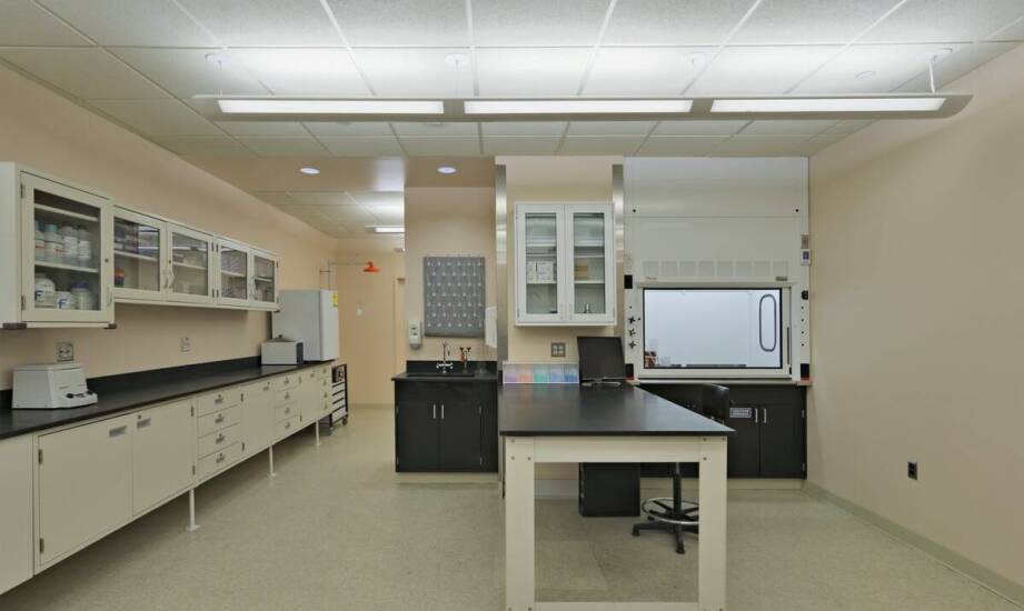 Zastosowanie laboratoryjnych stołów w branży rolno-spożywczej: kluczowe aspekty