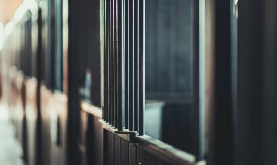 Jakie czynniki wpływają na wybór odpowiedniej hali do konnej jazdy?