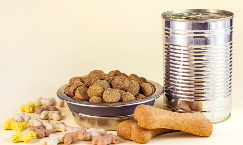 Jak dobrać mokrą karmę dla kota z alergiami pokarmowymi?