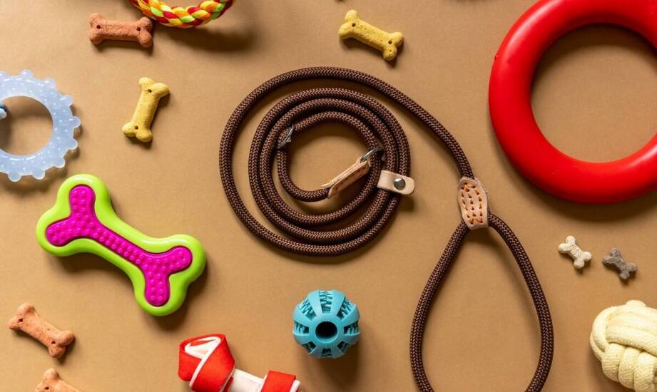 Ergonomiczne akcesoria dla psów – jak wpływają na ich codzienne życie?