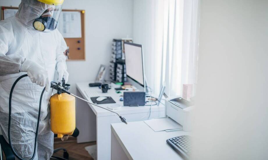 Wpływ innowacyjnych metod na skuteczność usuwania karaluchów