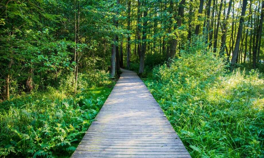 Jakie atrakcje czekają na miłośników natury podczas przyrodniczych spacerów?