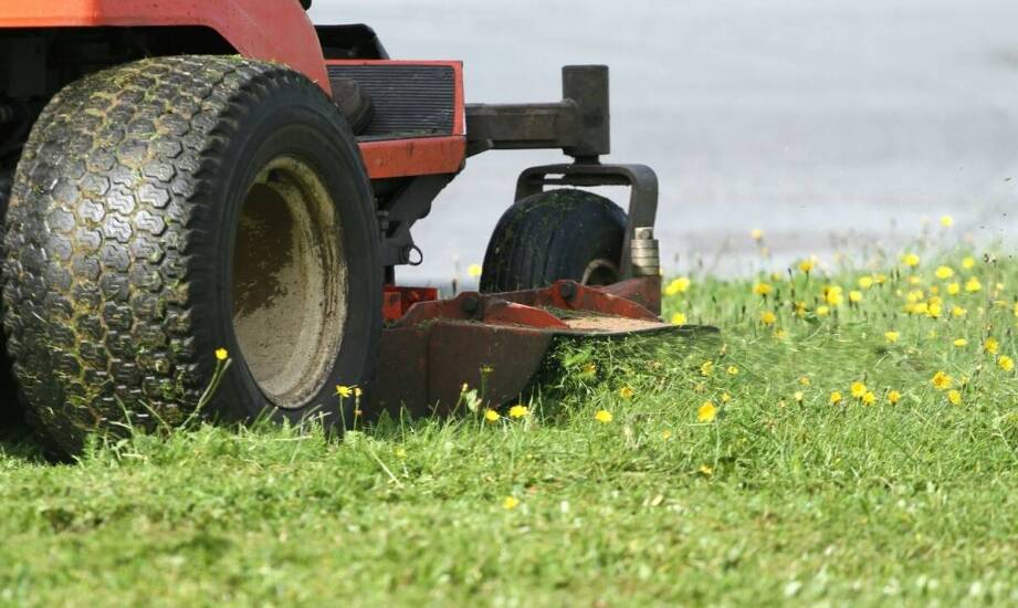 Jakie korzyści przynosi regularne koszenie trawy dla flory lokalnej?