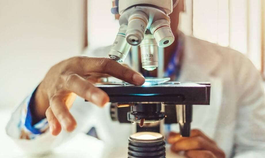 Objawy obciążenia organizmu pasożytami: kompleksowe podejście do diagnozowania