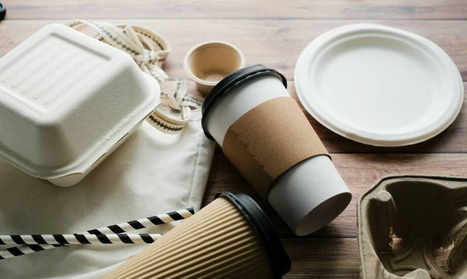 Dlaczego warto inwestować w jednorazowe ekologiczne opakowania?