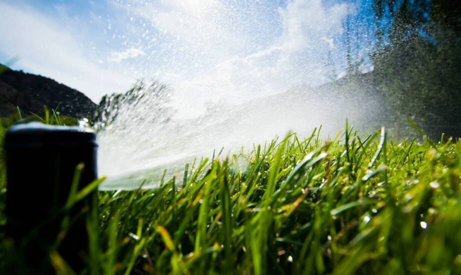 Jak automatyczne nawadnianie wspiera maszynowy siew trawników?