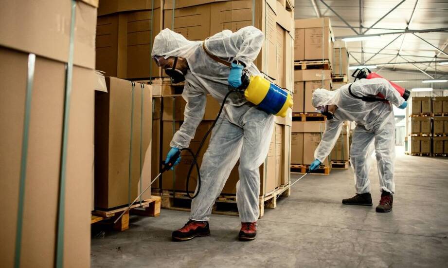Deratyzacja: kluczowe znaczenie dla utrzymania higieny w budynkach komercyjnych
