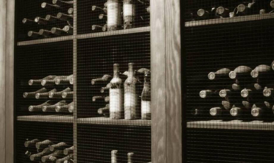 Jakie są korzyści z posiadania wentylowanej ogrodowej piwniczki?