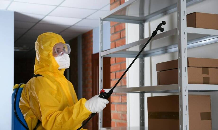 Profesjonalne techniki deratyzacji – co warto wiedzieć?