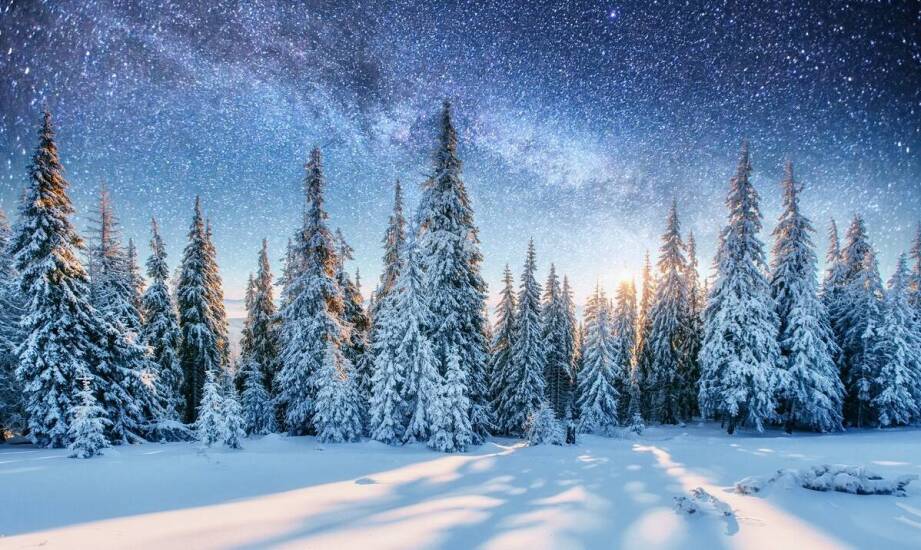 Zimowiska a rozwój emocjonalny – jak wpływają na młodzież?