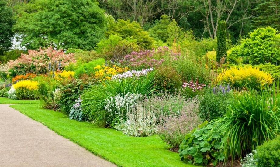 Jakie rośliny wybrać do ogrodów w Warszawie, aby były odporne na miejskie warunki?