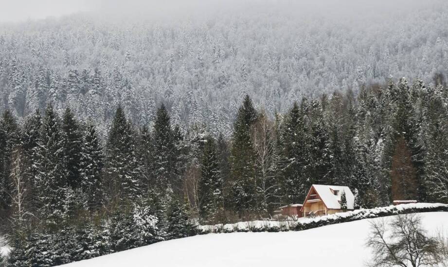 Napad zbójnicki: nietypowa atrakcja podczas kuligów w Bieszczadach.