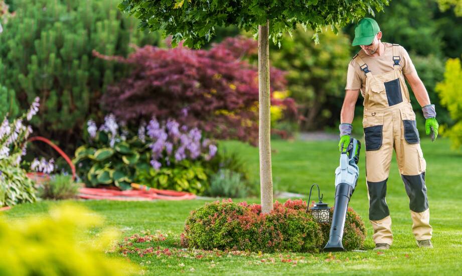 Efektywność pracy w ogrodzie dzięki nowoczesnym dmuchawom