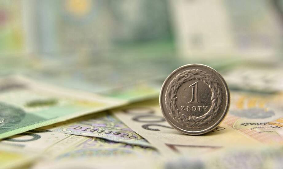 Najbardziej poszukiwane przez kolekcjonerów polskie monety