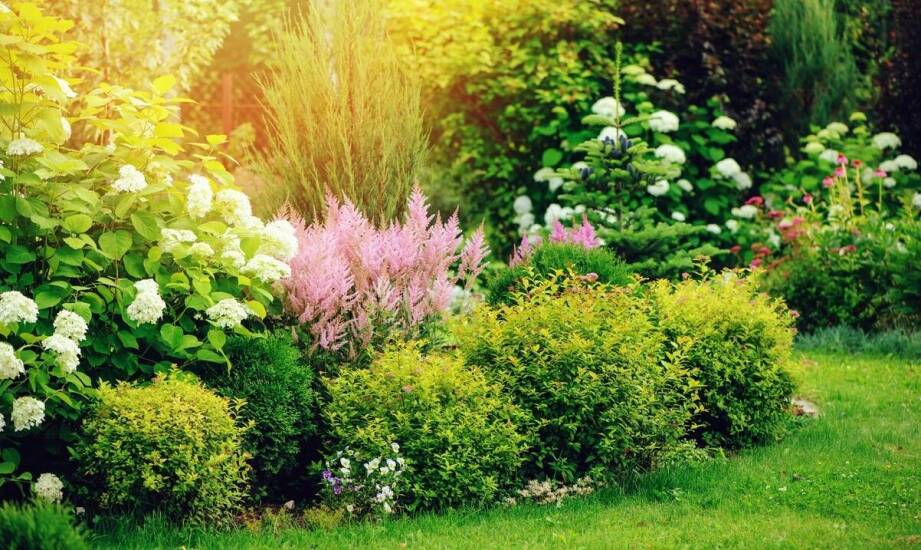 Jak regularna pielęgnacja wpływa na estetykę i funkcjonalność ogrodu?