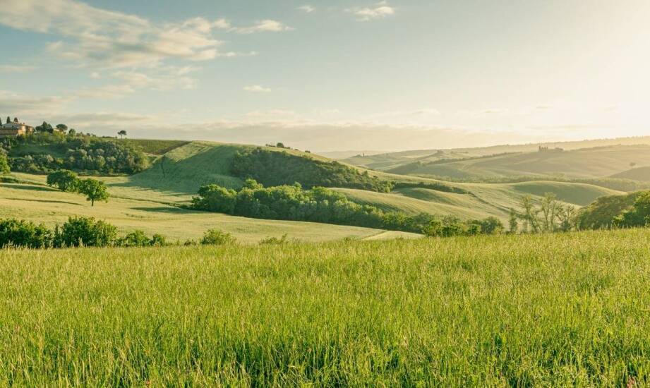 Zakup rolnej działki w Chorwacji: Perspektywy i korzyści inwestycyjne
