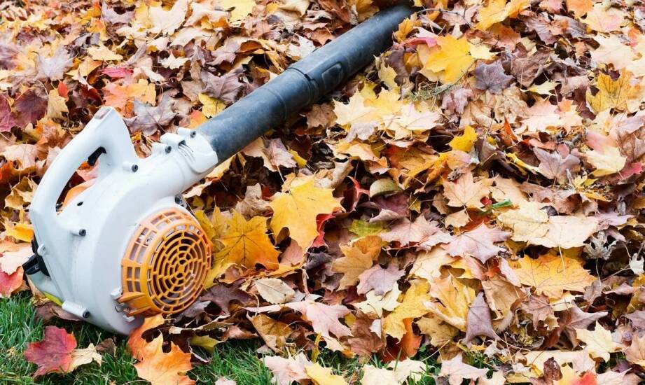 Wpływ jesiennych porządków na przygotowanie ogrodu do zimy