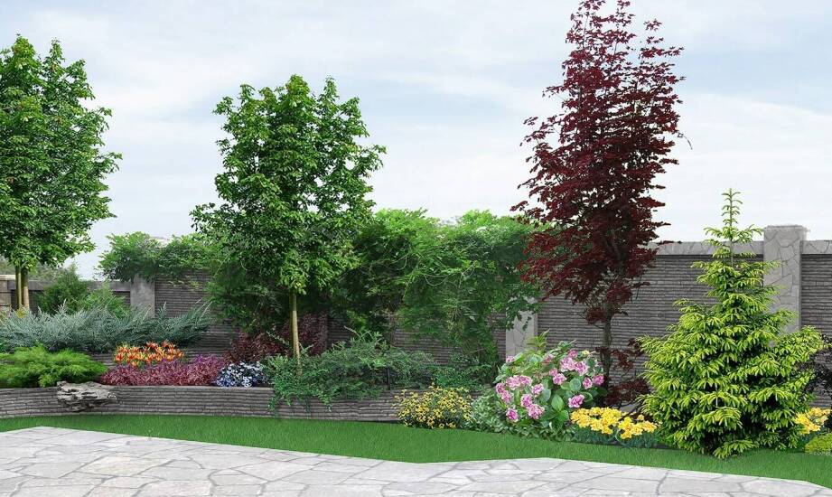 Wpływ porzeczki na pniu na estetykę nowoczesnych ogrodów