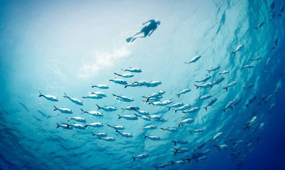 Wyzwania związane z podwodnymi pracami przy remontach hydrotechnicznych obiektów