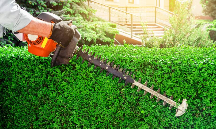 Jak dostosować nożyce do żywopłotu do indywidualnych potrzeb użytkownika?