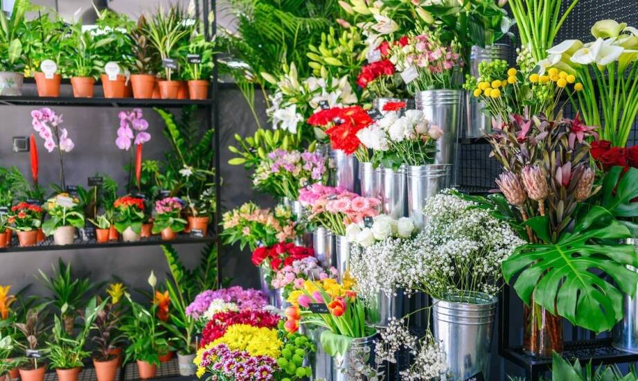 Giełda kwiatowa w Berlinie: jakie są najważniejsze towarzyszące wydarzenia?