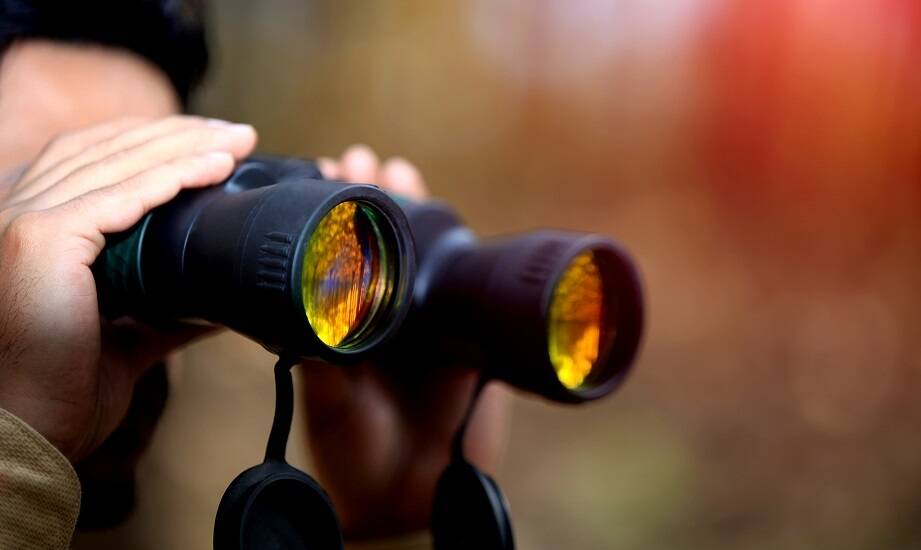 Jak wojskowa lornetka wspiera bezpieczeństwo podczas nocnych patroli terenowych?