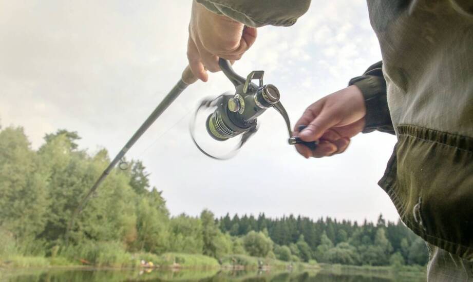 Jakie nowości w kołowrotkach wprowadzono w ostatnim roku?