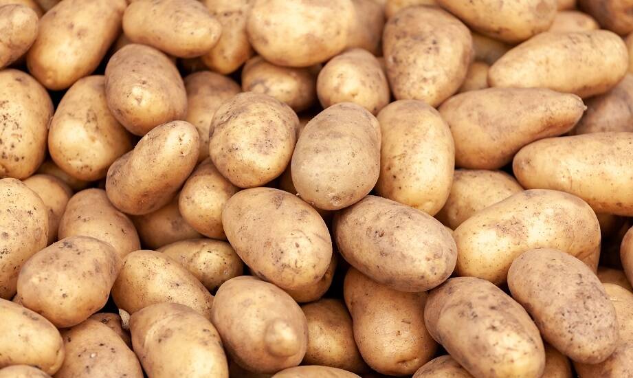 Przewaga hurtowych zakupów sadzeniaków ziemniaków w kontekście cen