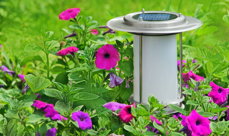 Porównanie różnych modeli solarnych lamp – który typ najlepiej pasuje do Twojego ogrodu?