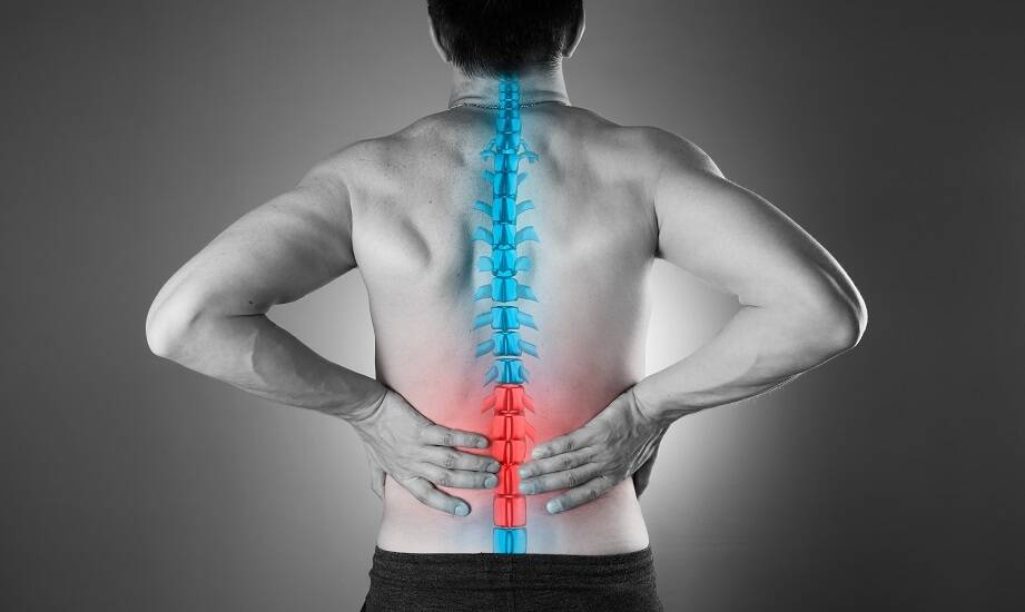 Chiropraktyka a poprawa funkcji układu nerwowego – co warto wiedzieć?